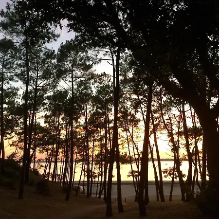 公寓 2-rooms In Arcachon-style With Garden, Minimum 3 Nights *