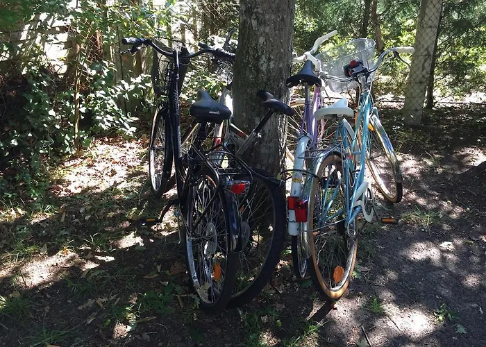 2-rooms In Arcachon-style With Garden, Minimum 3 Nights