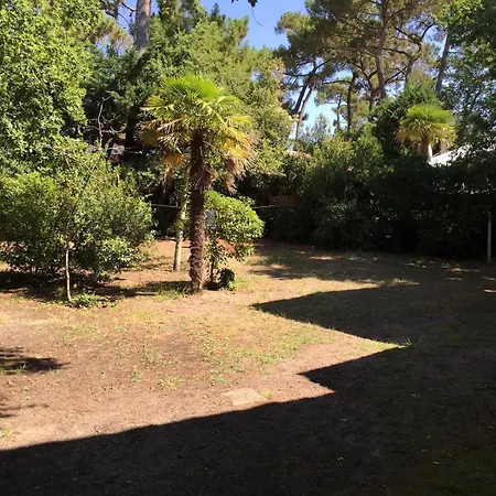 דירה 2-rooms In Arcachon-style With Garden, Minimum 3 Nights *