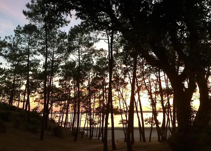 Apartment 2-rooms In Arcachon-style With Garden, Minimum 3 Nights *