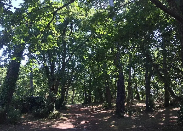 2-rooms In Arcachon-style With Garden, Minimum 3 Nights Arcachon